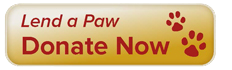 Lend a Paw, Donate Now