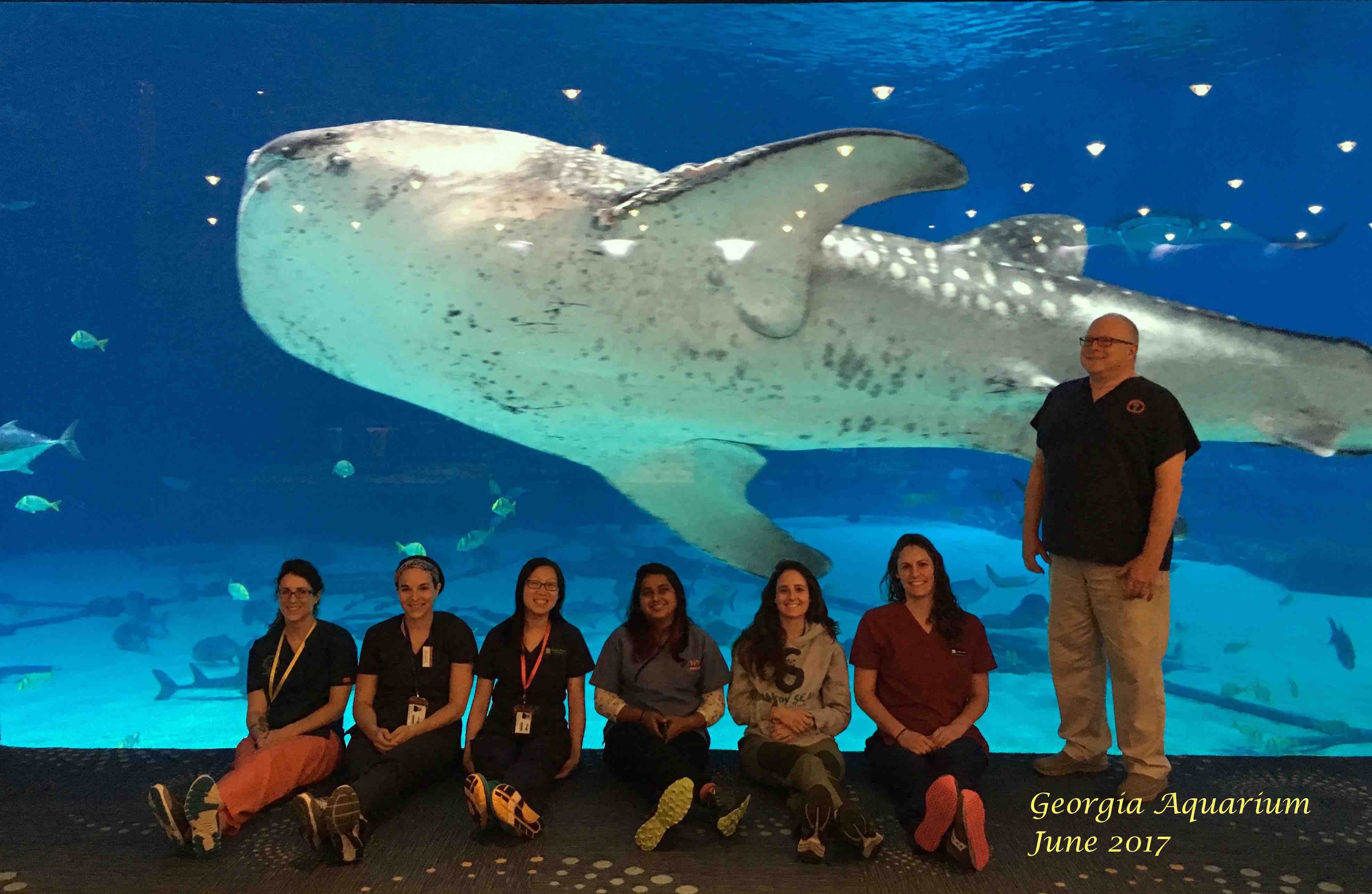 Students in front of large sea creature