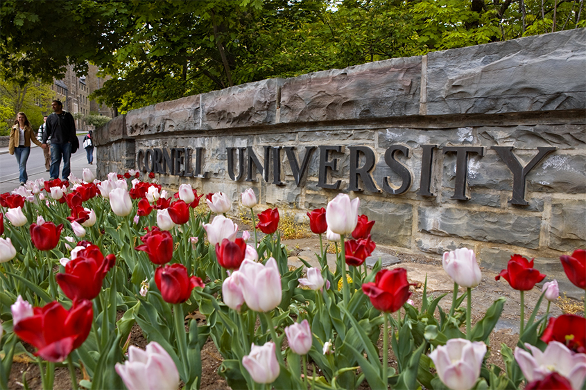 Spring flowers at the College Avenue entrance sign to the Cornell campus.
