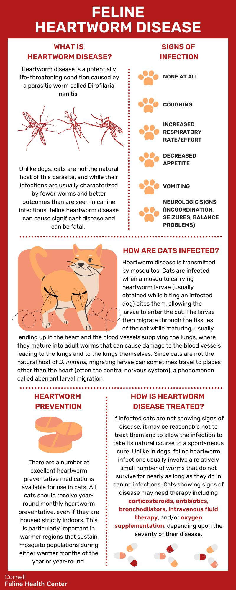 Image of the Cornell Feline Health Center infographic on feline heartworm disease. An accessible PDF link is below the image. 