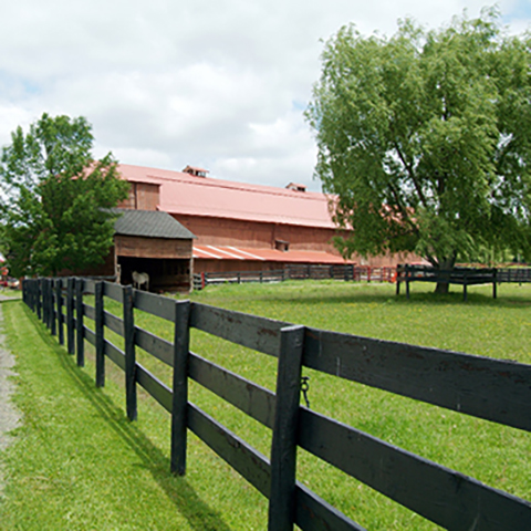 Cornell Equine Park