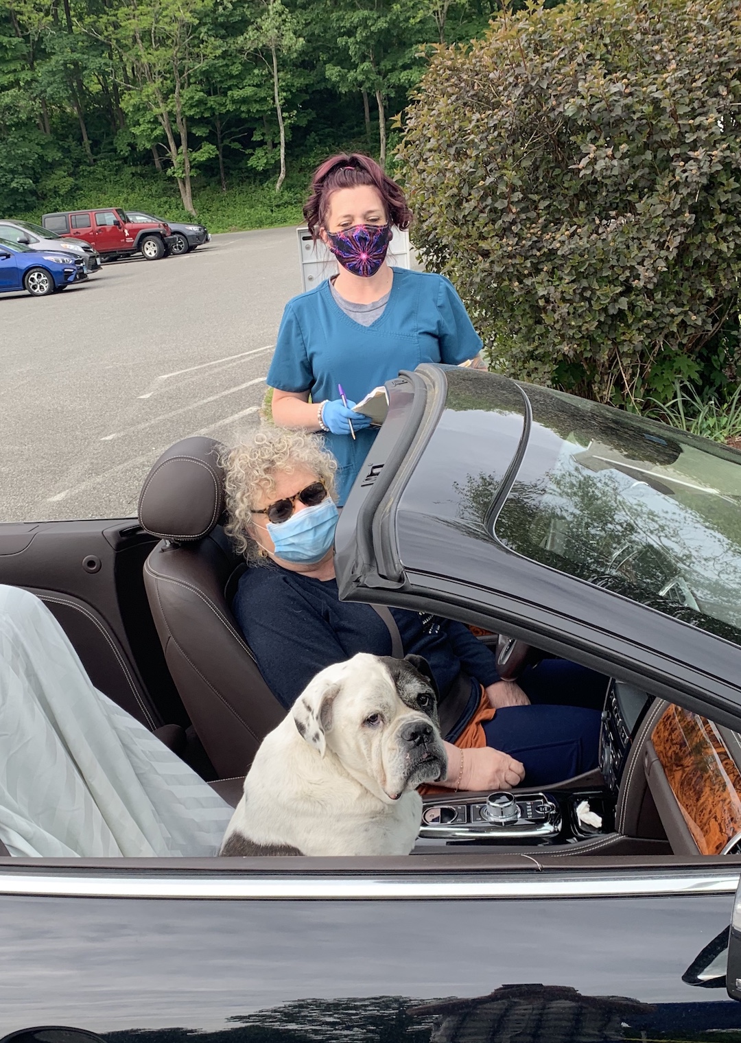 A client in a car with her English bulldog gets checked in by a staff member at the Davis Companion Animal Hospital