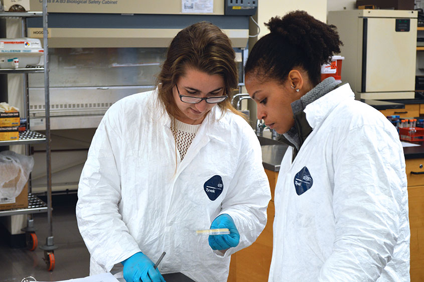 Students learning about bacteria in lab