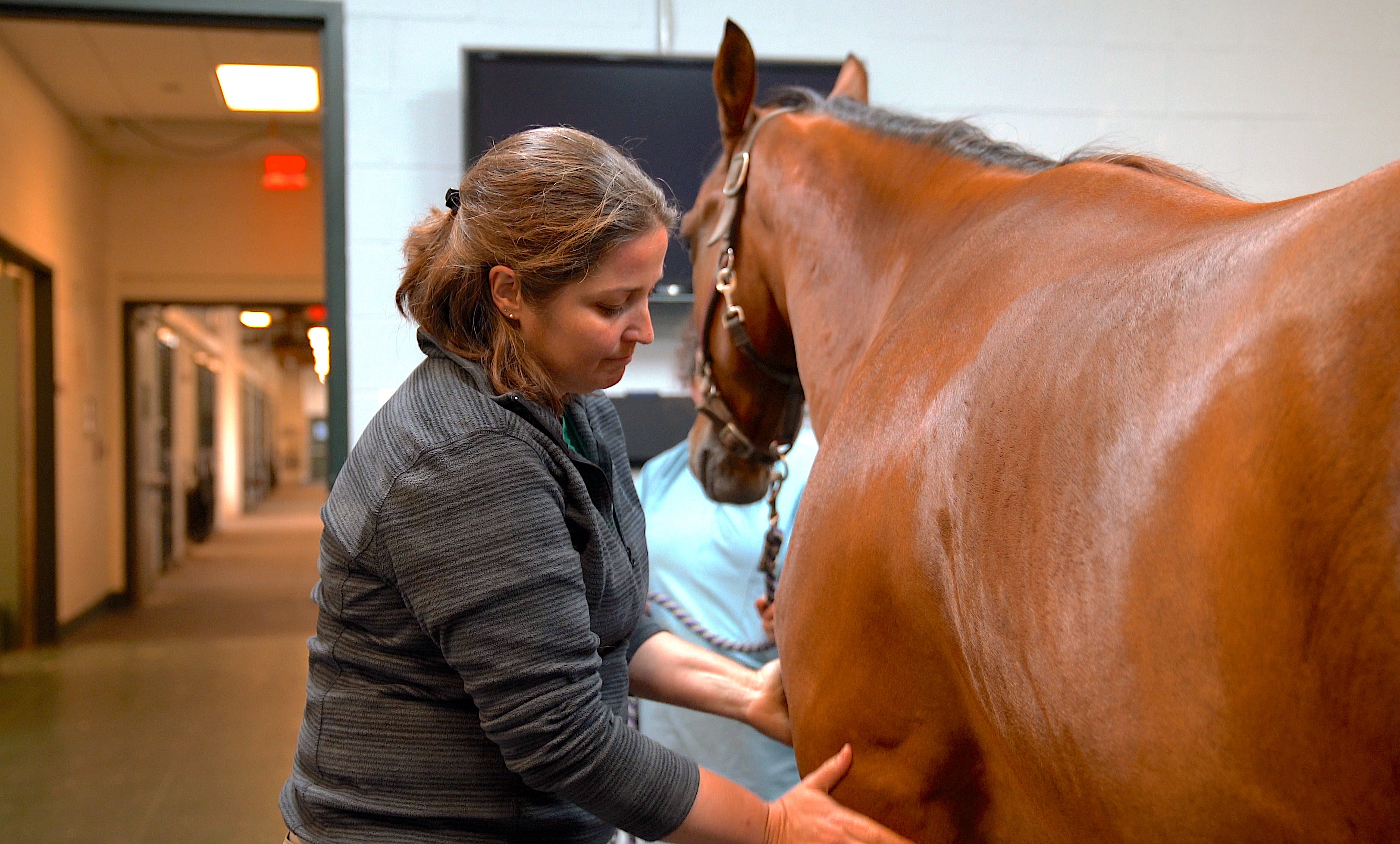 Michelle Delco examining a horse