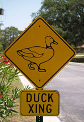 Road sign for duck crossing