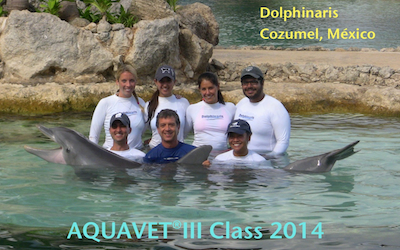 Fianl 2014 AQUAVET III class photo