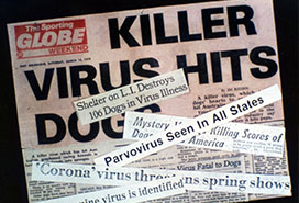 Parvovirus emerged in the 1970's