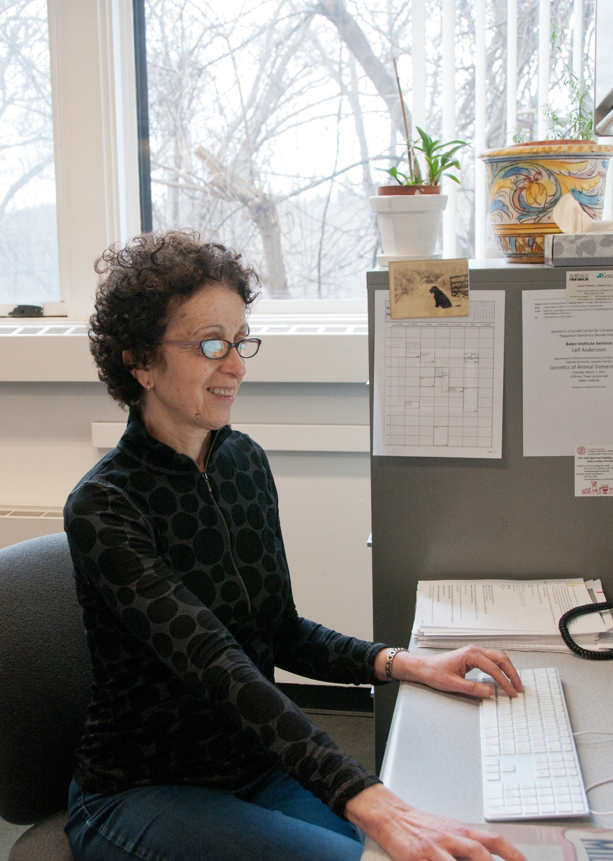 Faculty member