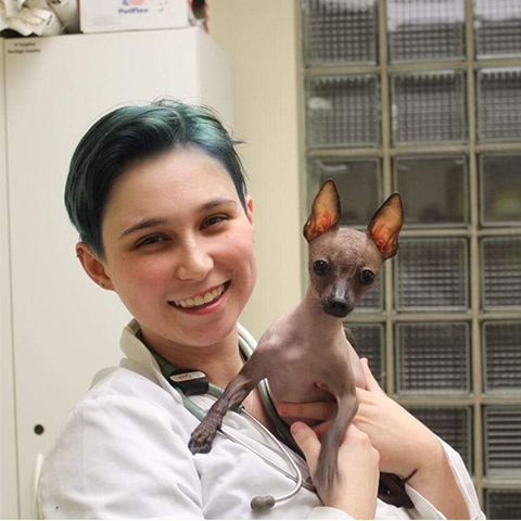Liz Mulhall, 2020 Maddie's Shelter Medicine Intern (headshot) Liz Mulhall, 2020 Maddie's Shelter Medicine Intern (headshot)
