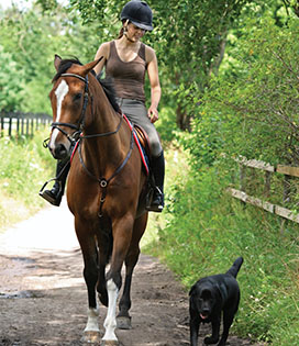 Woman riding horse with black dog