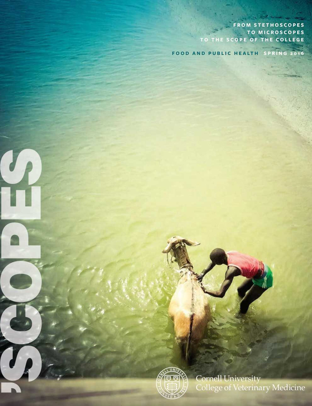 Image of the spring 2016 cover of 'Scopes, featuring a man washing a donkey in a river