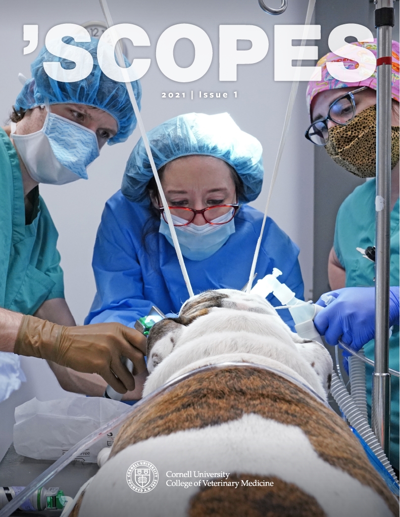 Scopes 2021 Issue 1 cover