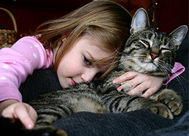 Young girl cuddling with tabby cat
