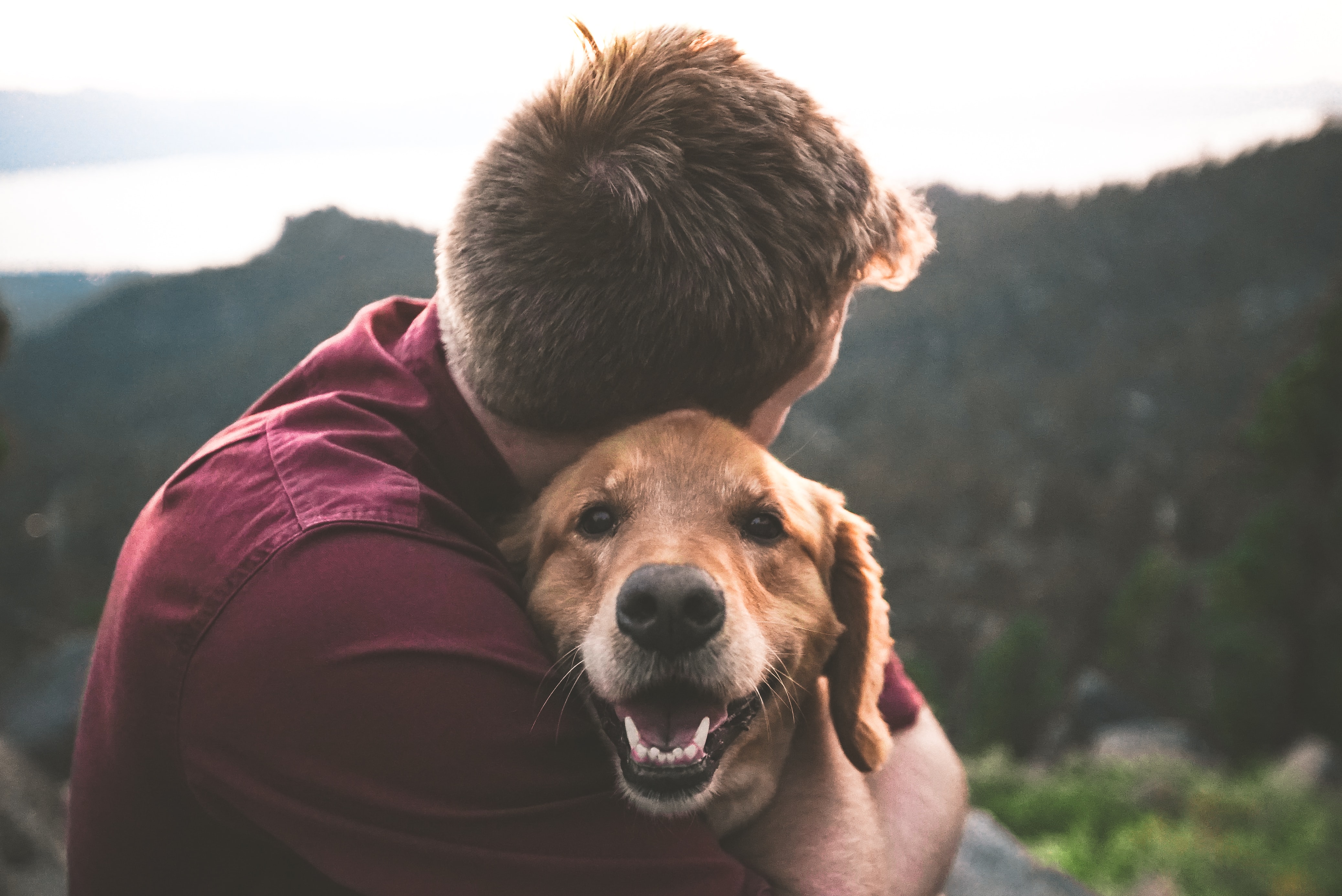 a person and a dog