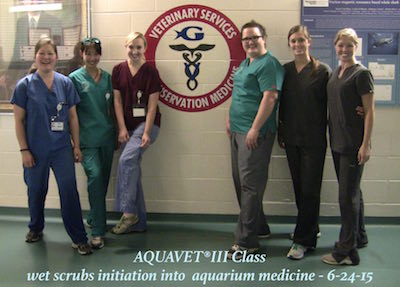 AQUAVET III wet scrubs 2015