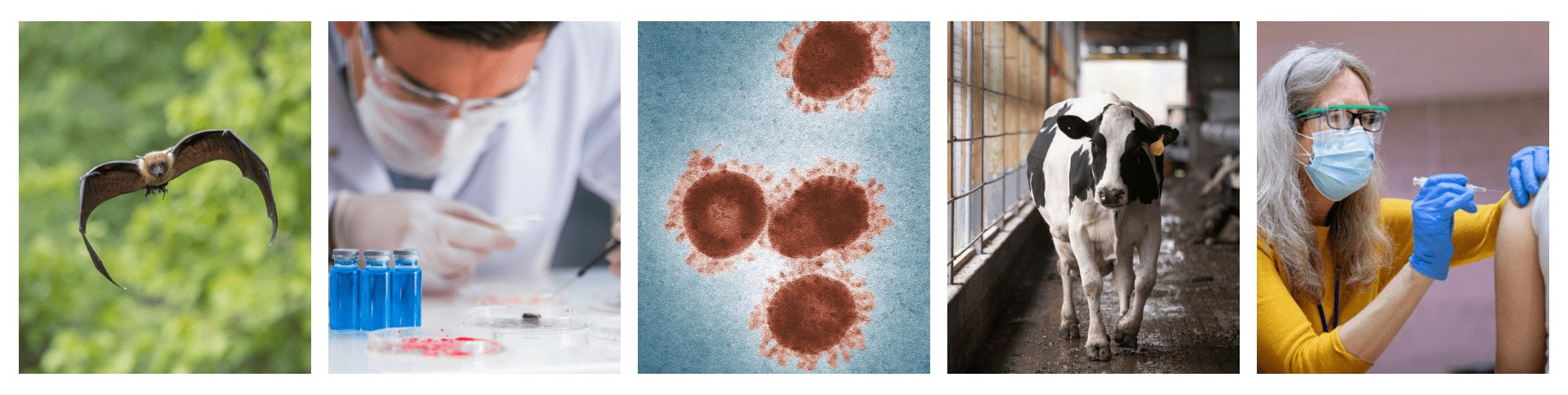 Series of images depicting different aspects of emerging health threats