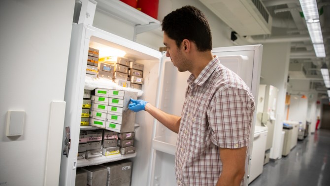 Ciro Cordeiro, a postdoc in Scott Emr’s lab in Weill Hall, organizes frozen cell samples.