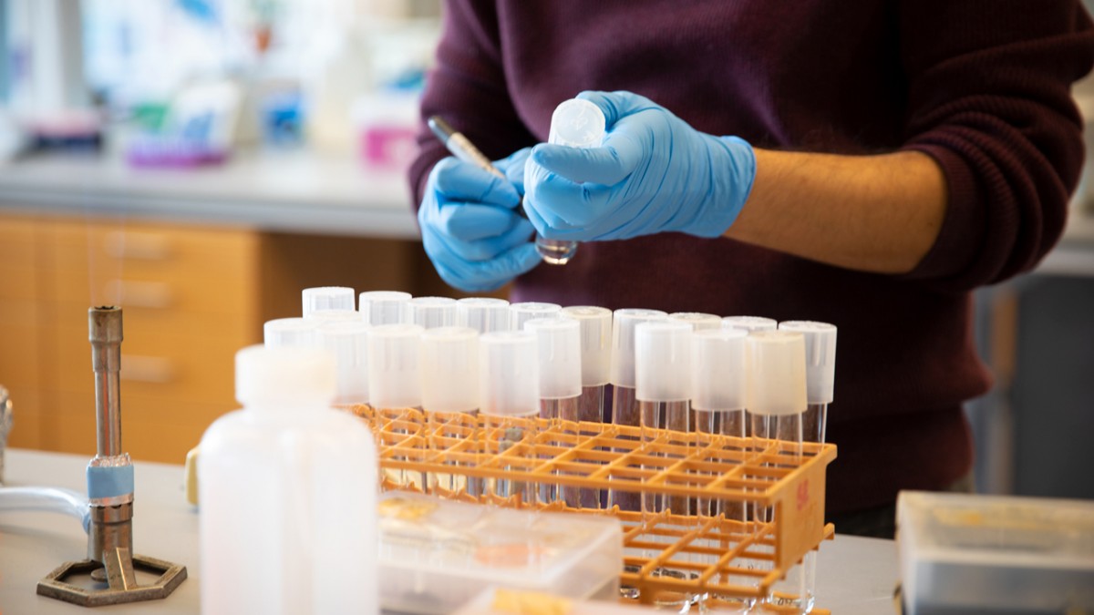 Postdocs in Scott Emr's lab in Weill Hall work to freeze down cell samples to preserve the lab’s research.