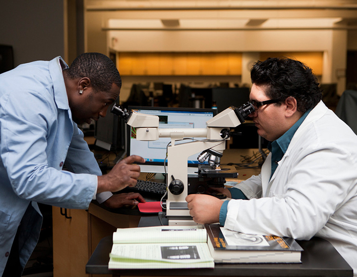 Two scientists at a microscope