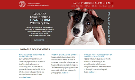 2016 Baker Institute Annual Report