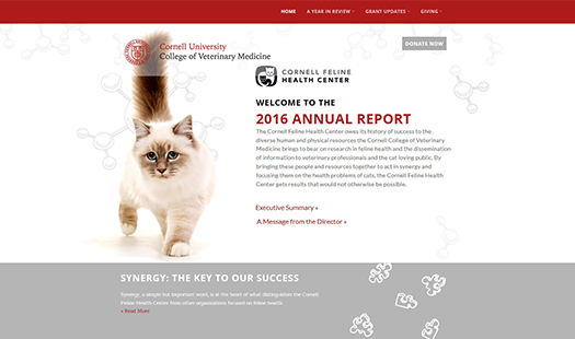 2016 Cornell Feline Health Center Annual Report
