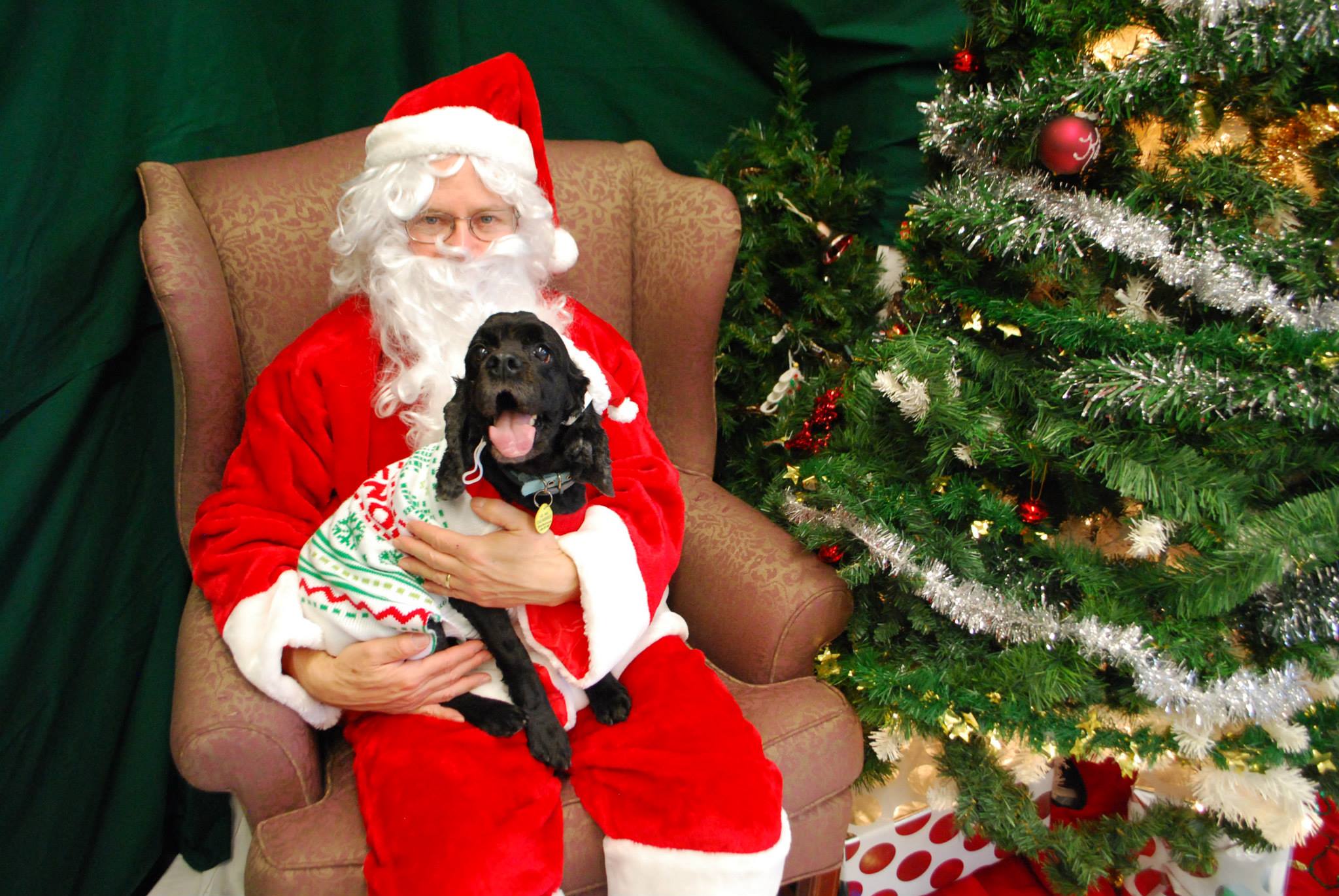 Santa Claus and a dog pose for a photo 