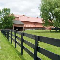 Equine Park