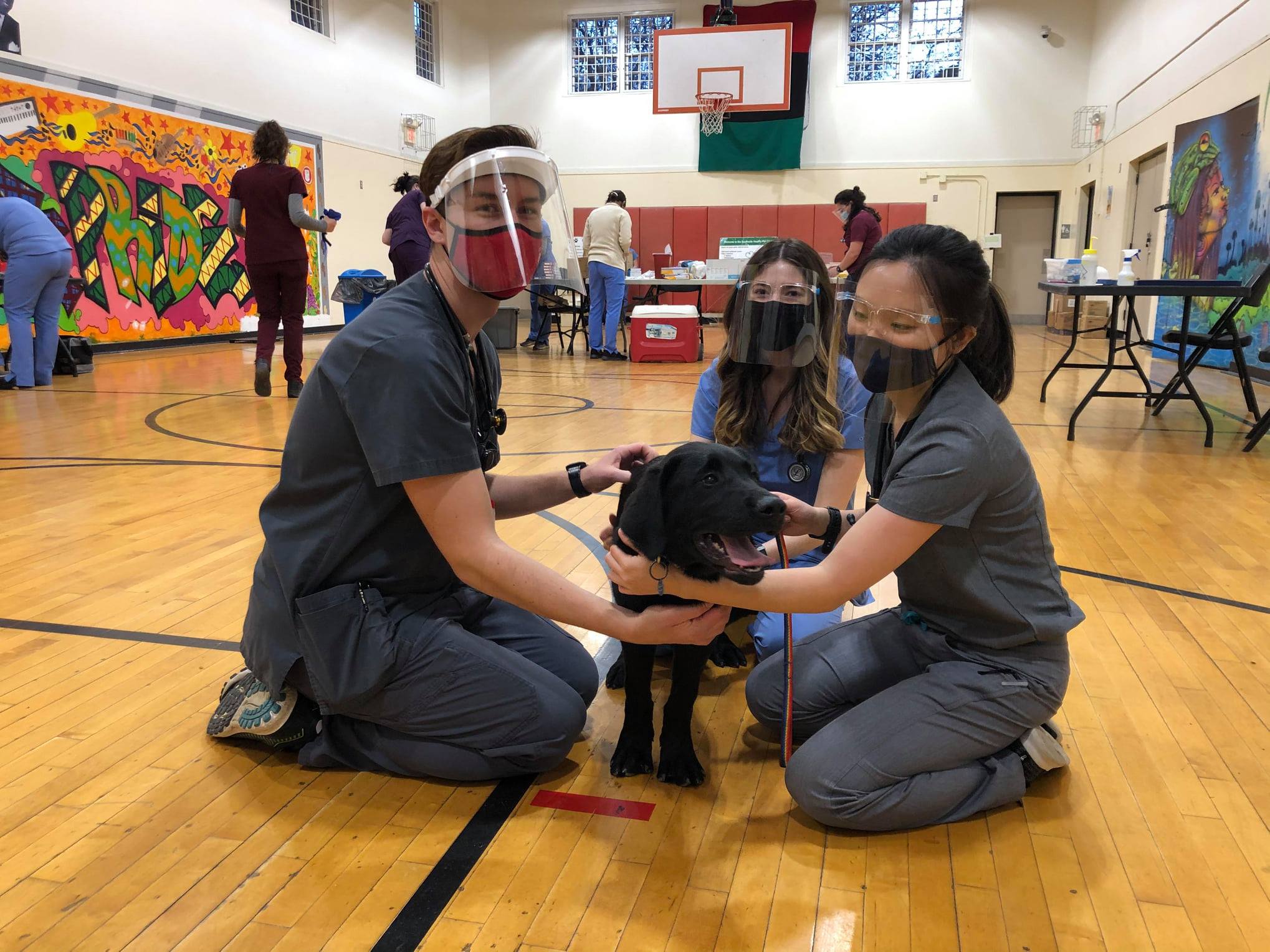 three students sitting around a black dog