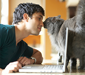 Grey cat nuzzling with male owner over laptop