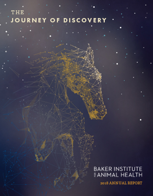 Annual report cover