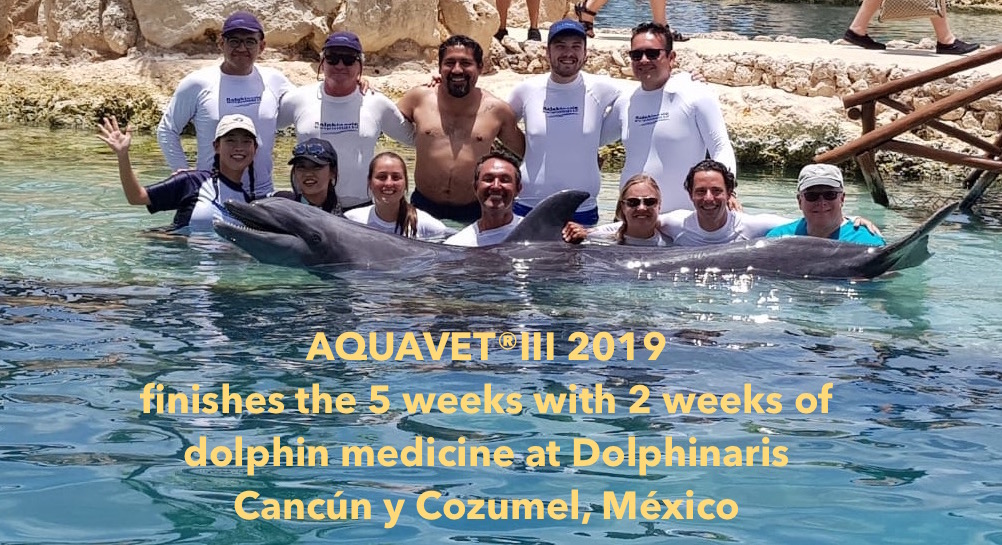 AQUAVET III 201