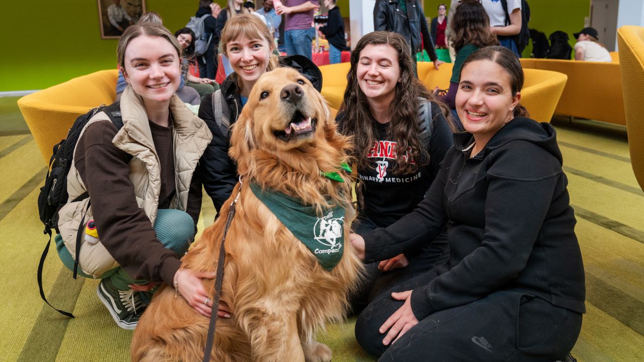 smiling students sitting around a golden retriever
