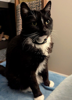 Baxter