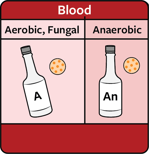 A chart explaining how to collect a specimen of blood