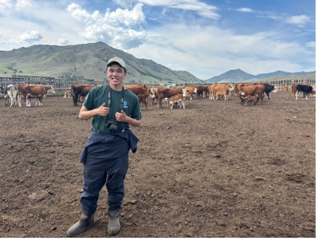 Nicholas Wang in a sandy feedlot with cows behind and Mongolian hills in the background