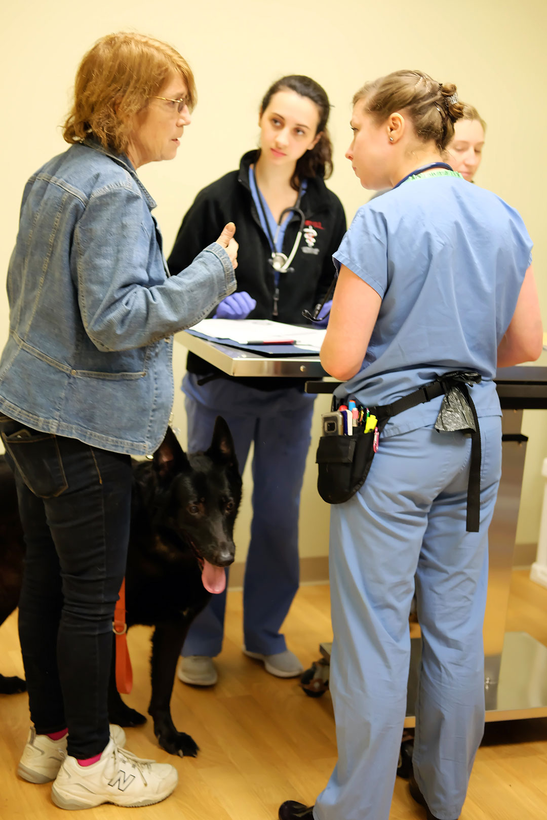 Renee Staffeld listens to a client in Schuyler County