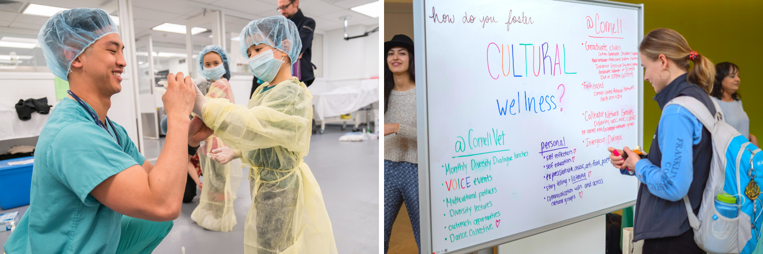 On the left, a vet student helps a young child put a surgical gown on; on the right, a student stands in front of a whiteboard that says "Cultural Wellness"