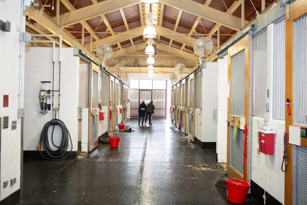 Looking down the empty hallway of the Cornell Equine Hospital, with two people at the end conversing in masks