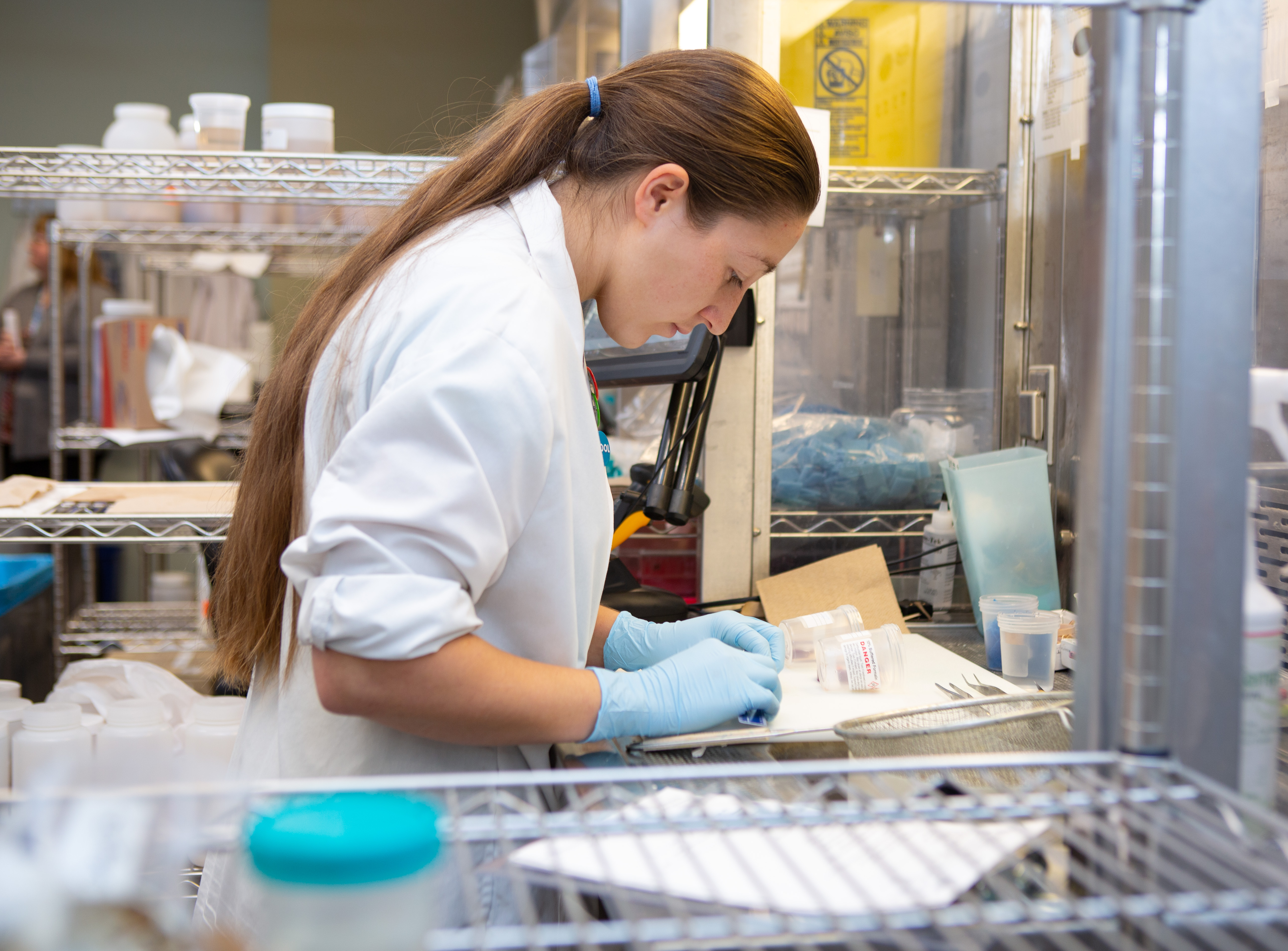 A woman working in a laboratory