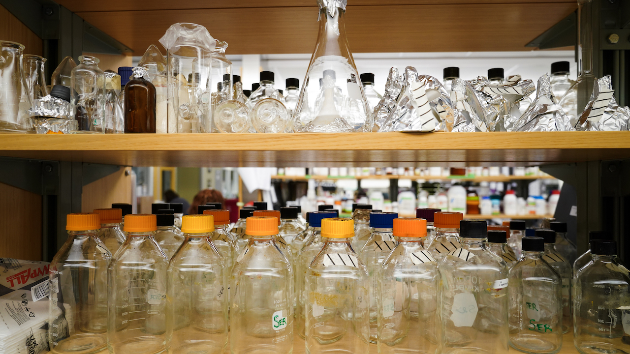 Beakers and containers on a shelf