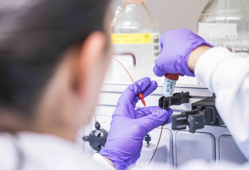 lab member examines a sample