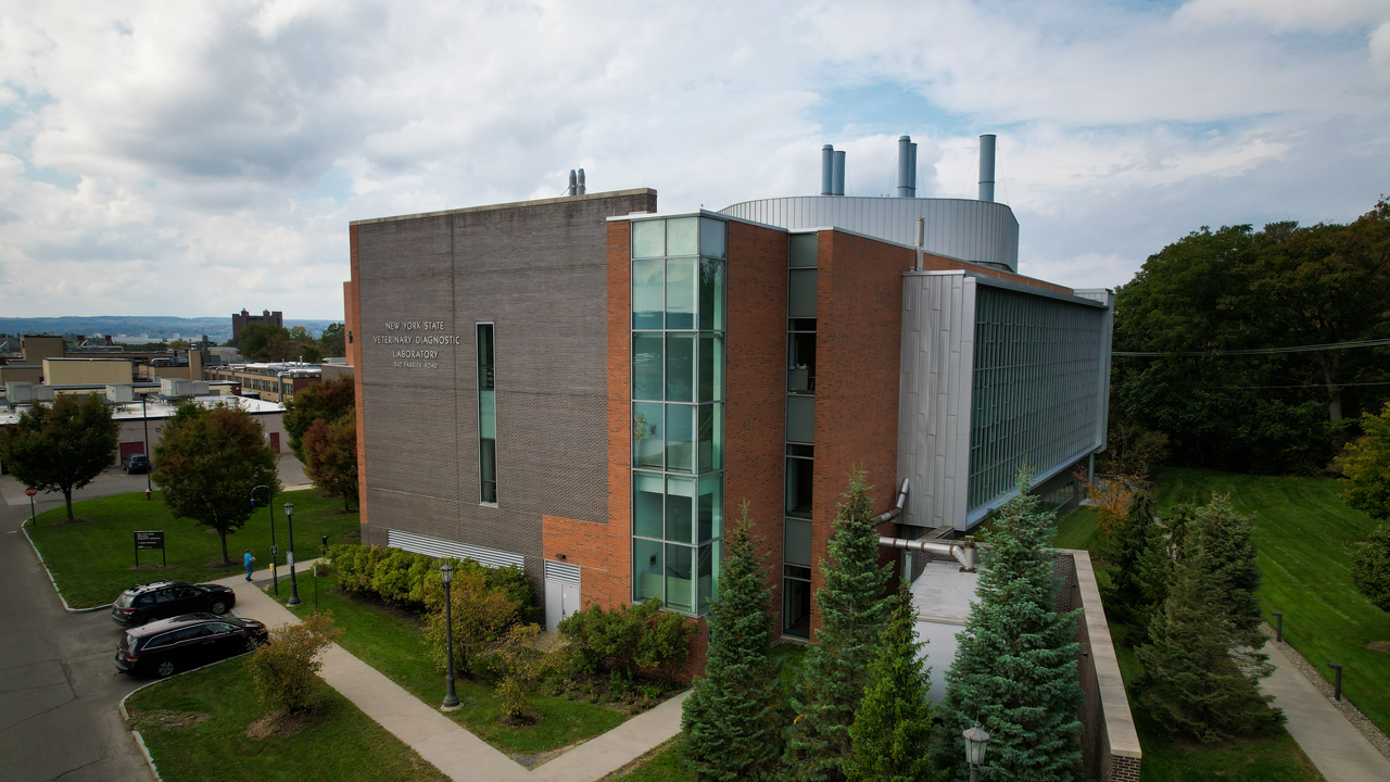 An aerial view of the Animal Health Diagnostic Center in summer