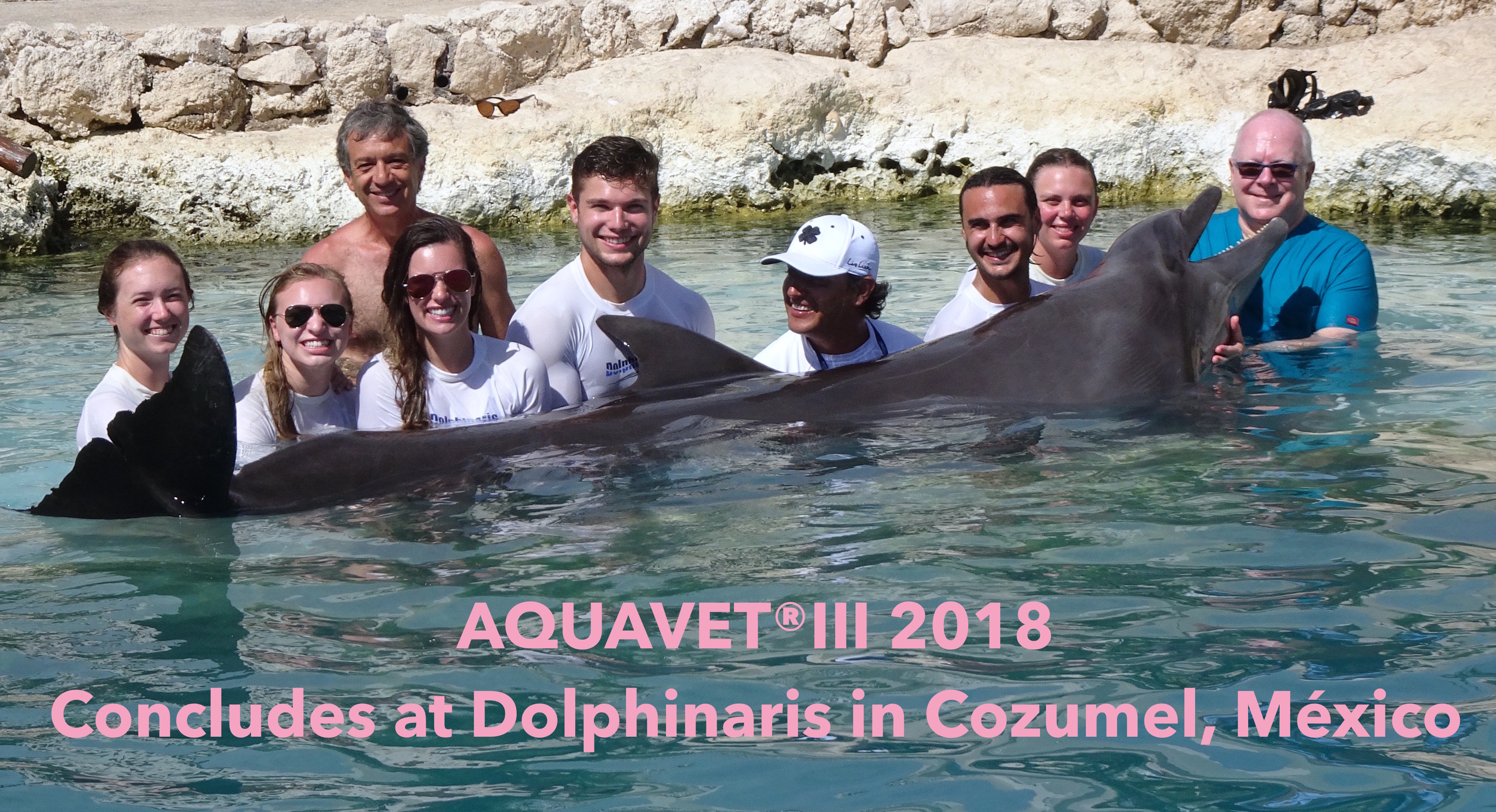 2018 AQUAVET III