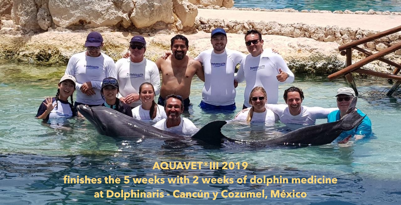 Students with dolphin