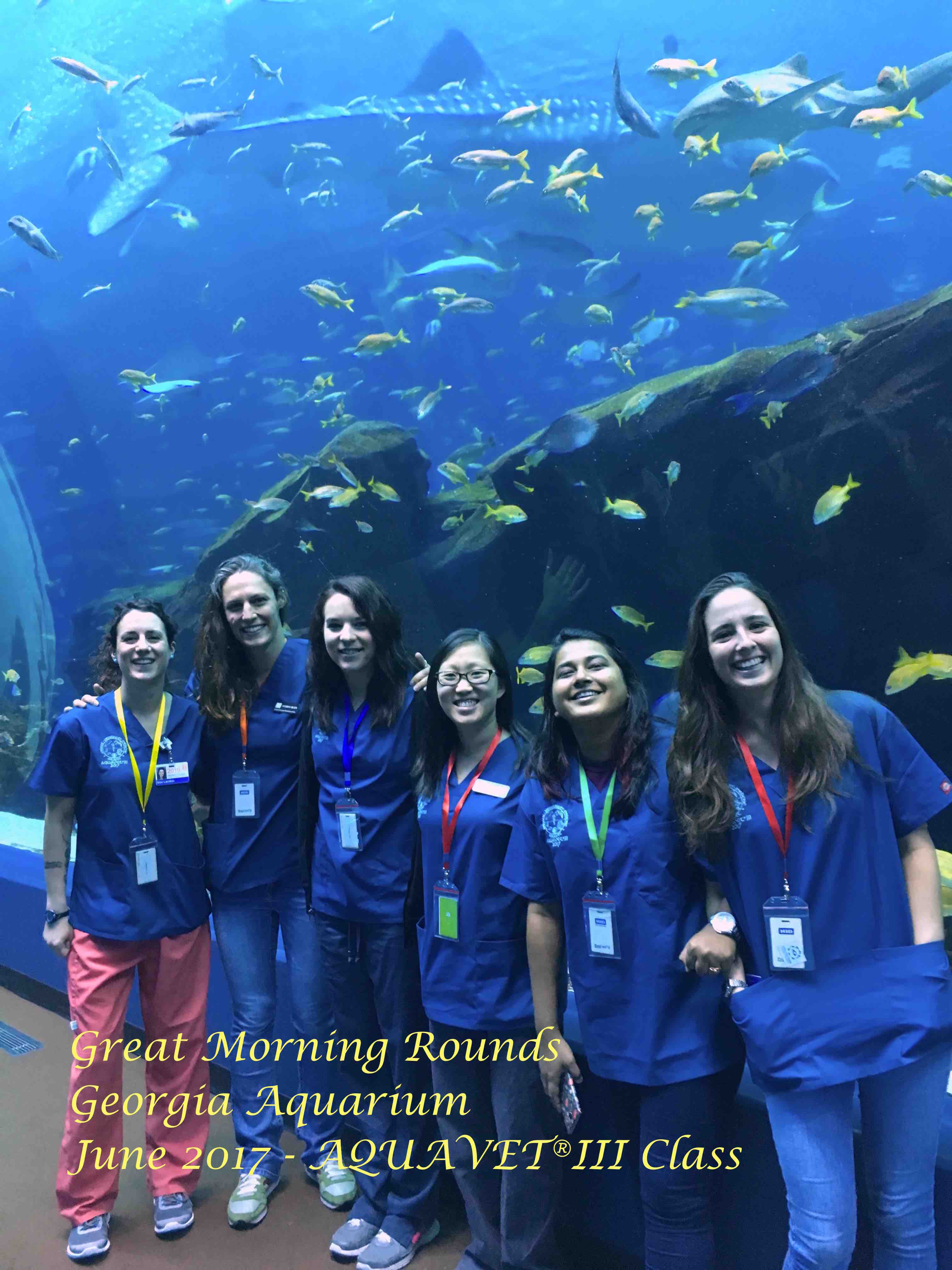Students in front of large fish tank