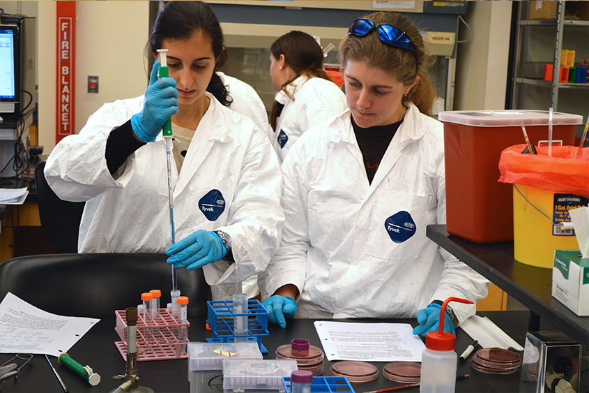 Students in lab