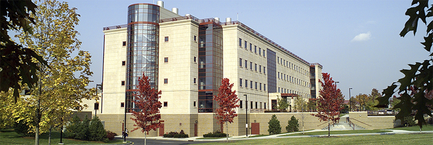 The College of Veterinary Medicine 