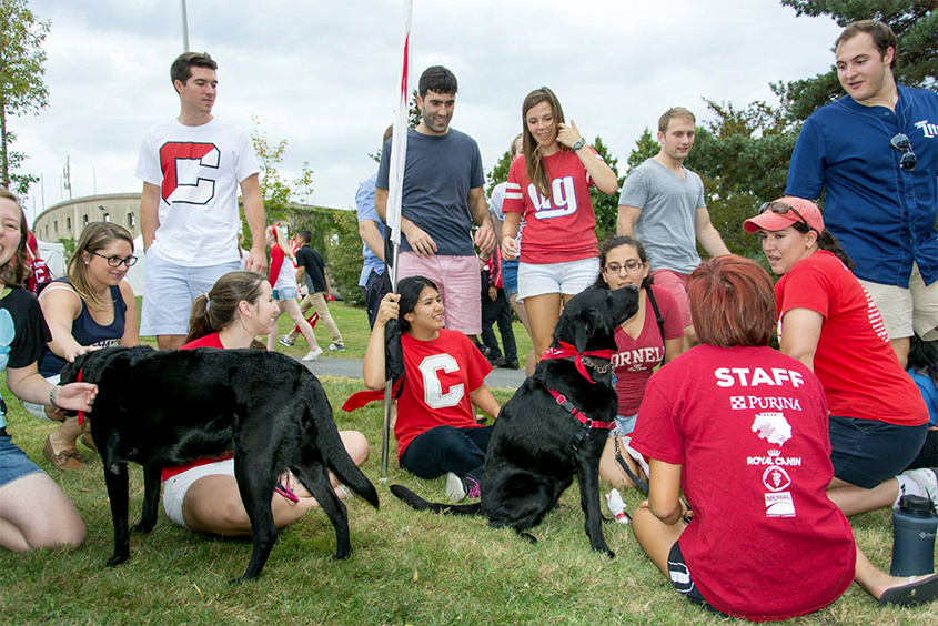 Cornell students at Homecoming