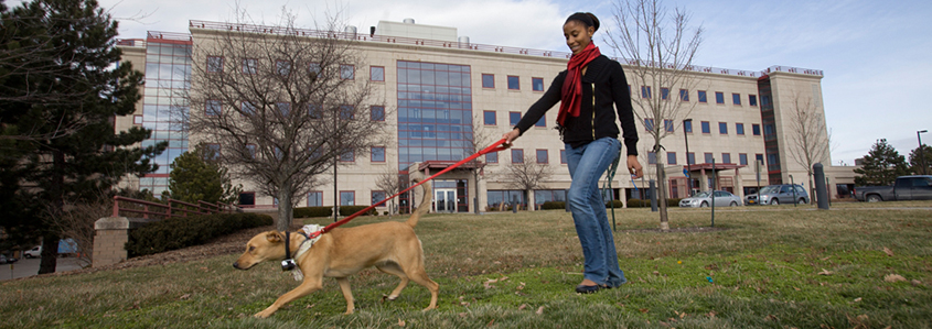 A woman and a dog visit the College of Veterinary Medicine