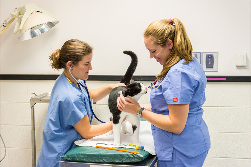 2 vet students with cat